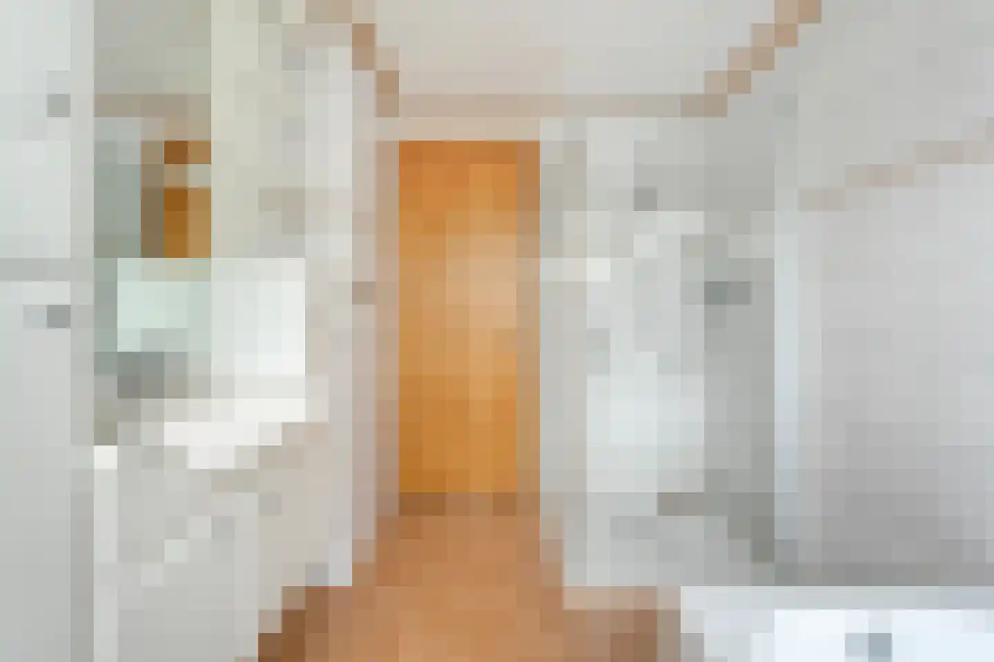 Het Lage Holt 19 Hoogeveen thumbnail 39