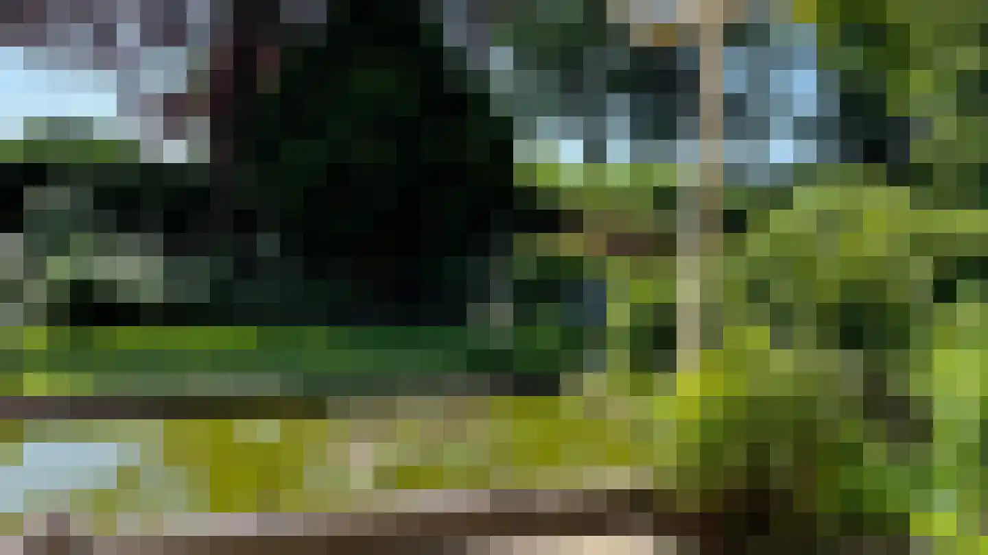 Het Lage Holt 19 Hoogeveen thumbnail 41
