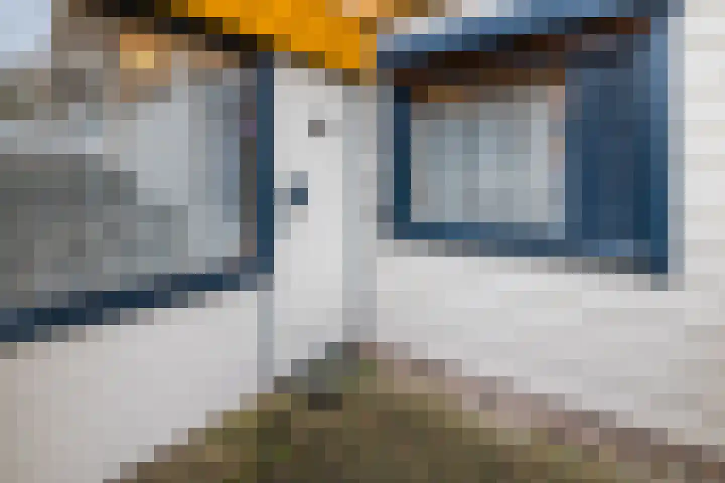Het Lage Holt 19 Hoogeveen thumbnail 42