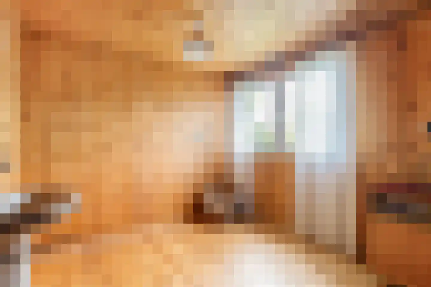 Het Lage Holt 19 Hoogeveen thumbnail 43