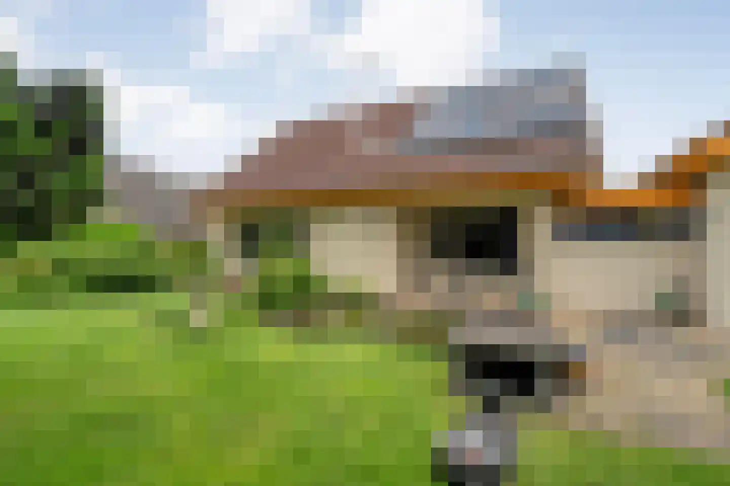 Het Lage Holt 19 Hoogeveen thumbnail 46