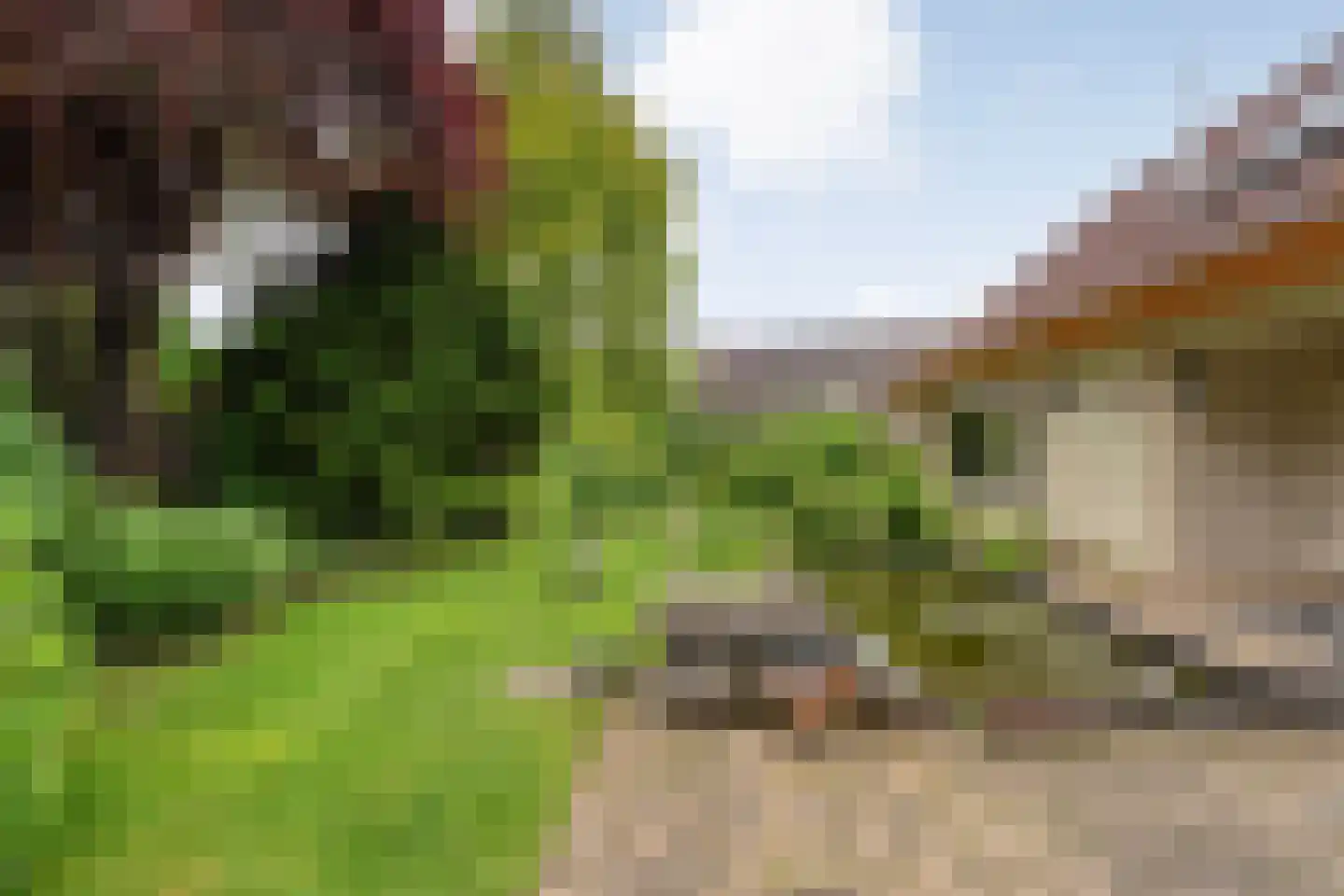 Het Lage Holt 19 Hoogeveen thumbnail 47