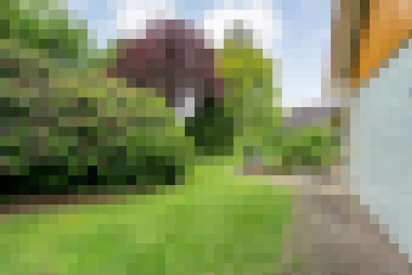 Het Lage Holt 19 Hoogeveen thumbnail 49