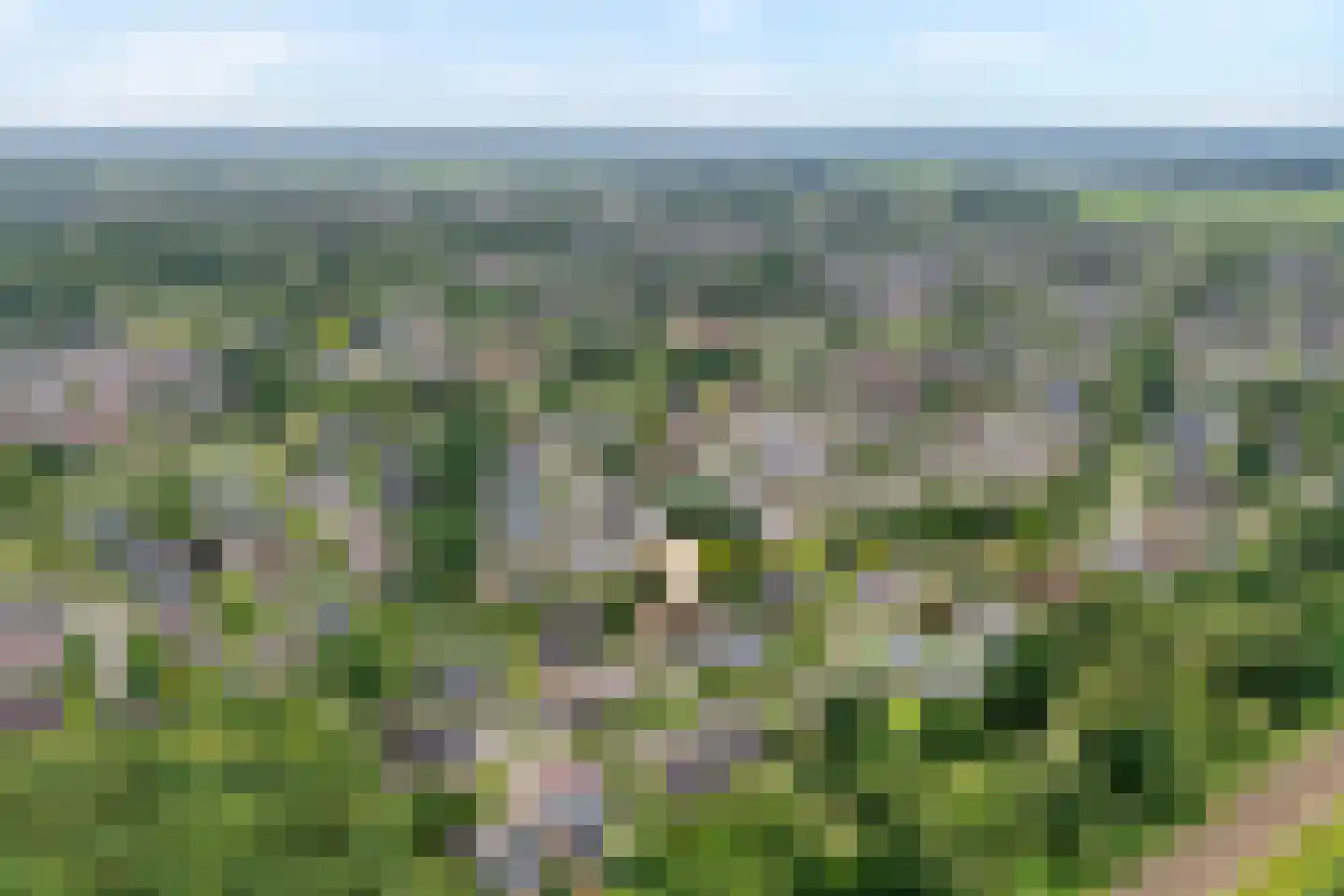 Het Lage Holt 19 Hoogeveen thumbnail 5