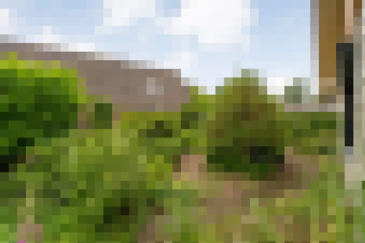Het Lage Holt 19 Hoogeveen thumbnail 51