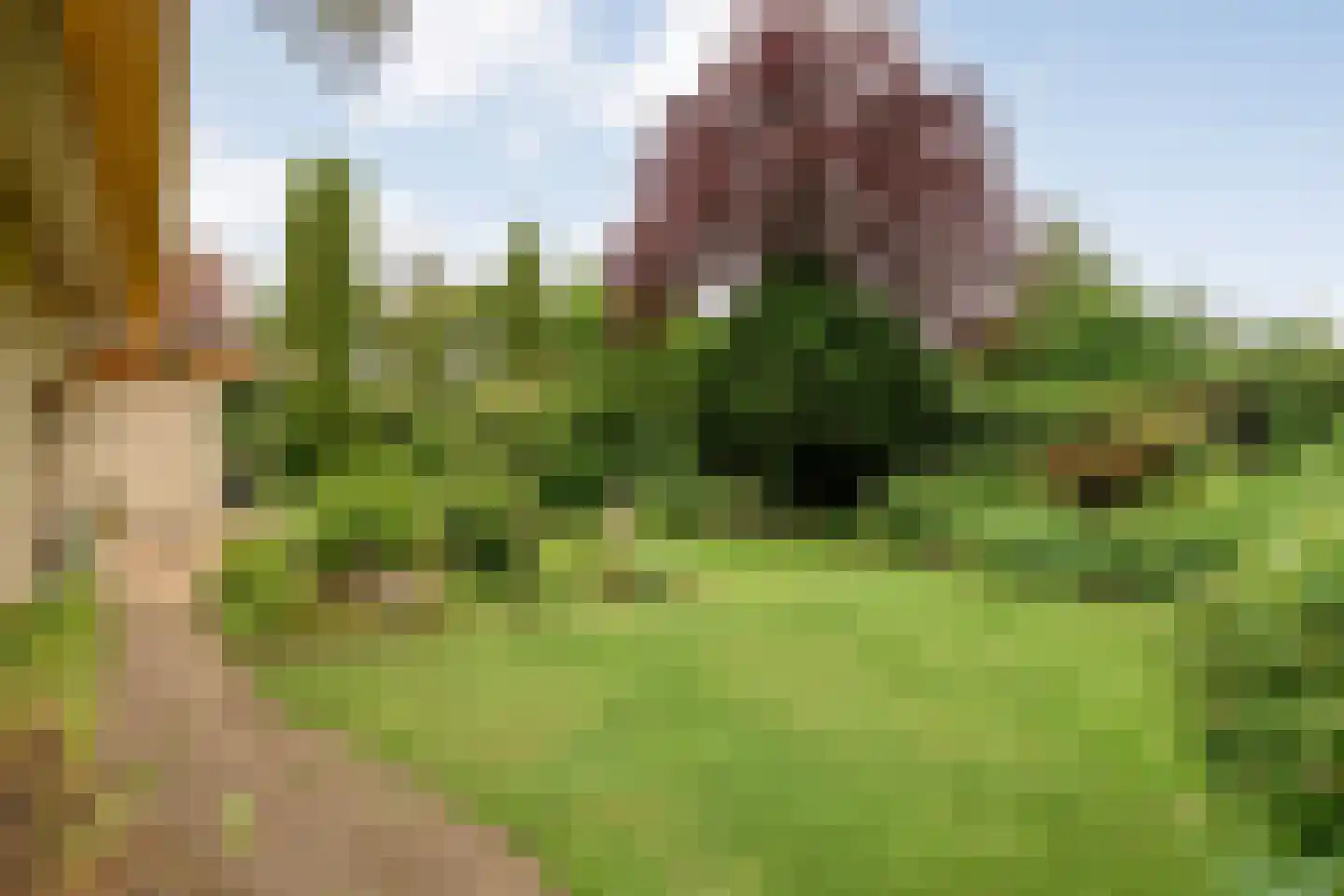 Het Lage Holt 19 Hoogeveen thumbnail 52