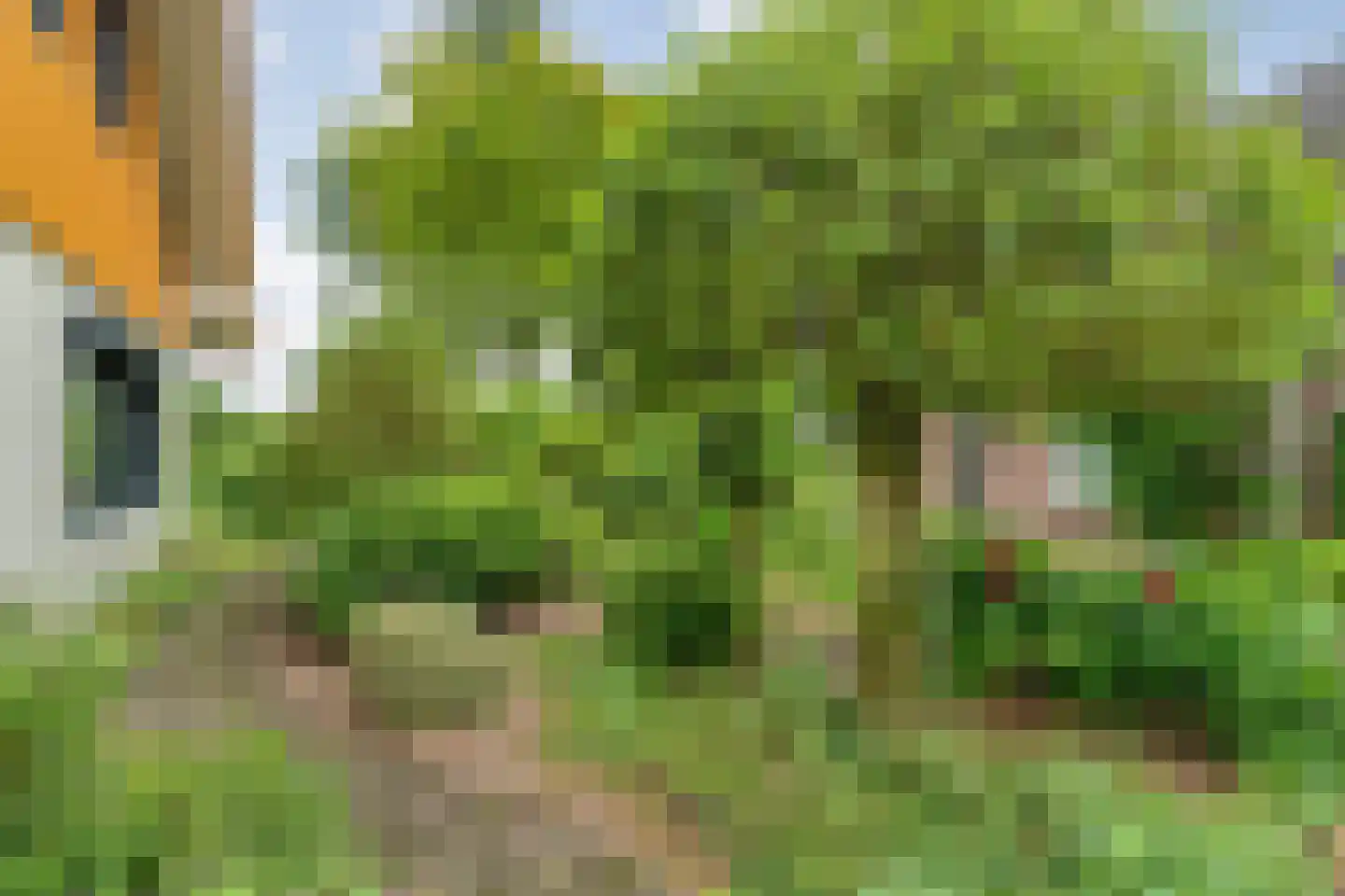 Het Lage Holt 19 Hoogeveen thumbnail 53