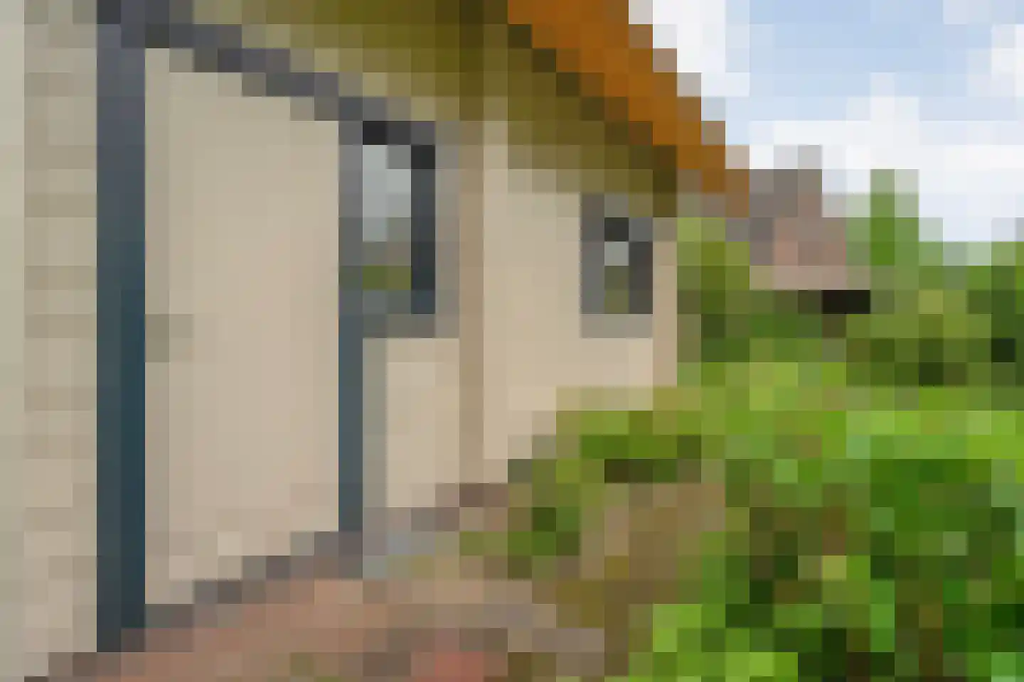 Het Lage Holt 19 Hoogeveen thumbnail 55