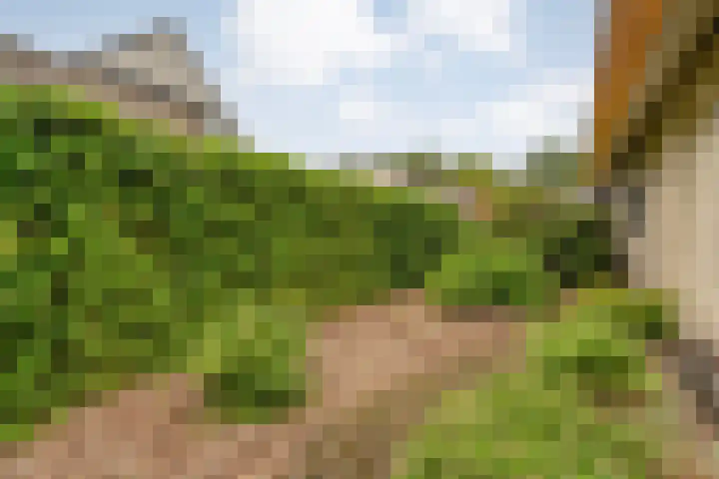 Het Lage Holt 19 Hoogeveen thumbnail 56