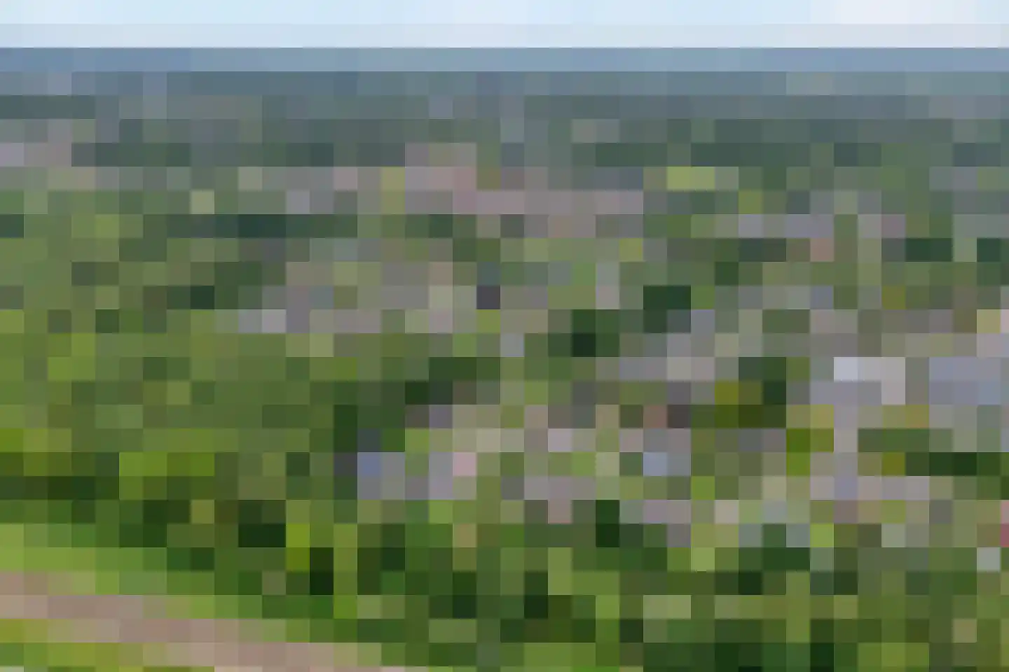 Het Lage Holt 19 Hoogeveen thumbnail 59