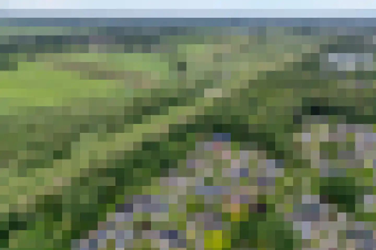 Het Lage Holt 19 Hoogeveen thumbnail 60