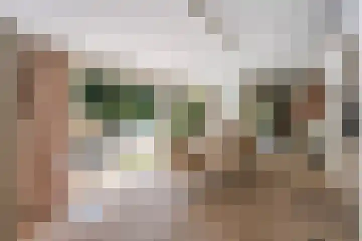 Het Lage Holt 6 Hoogeveen thumbnail 10