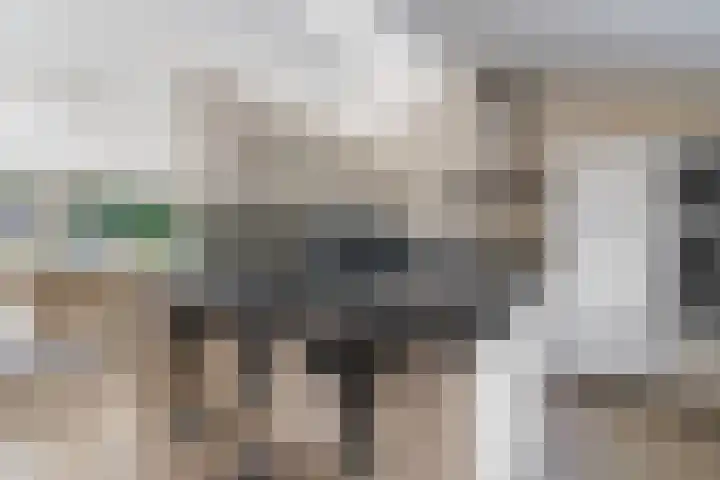 Het Lage Holt 6 Hoogeveen thumbnail 11