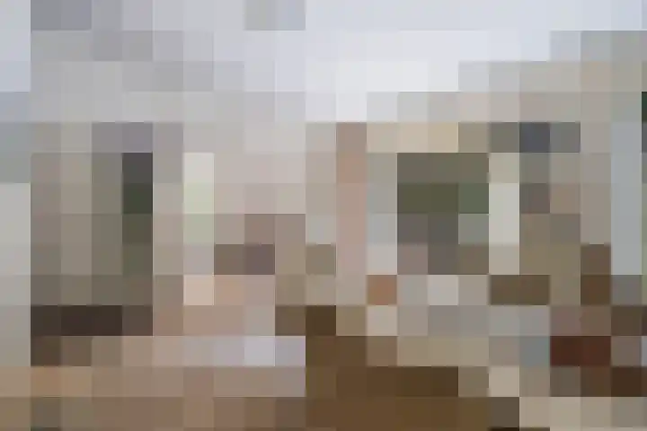 Het Lage Holt 6 Hoogeveen thumbnail 12