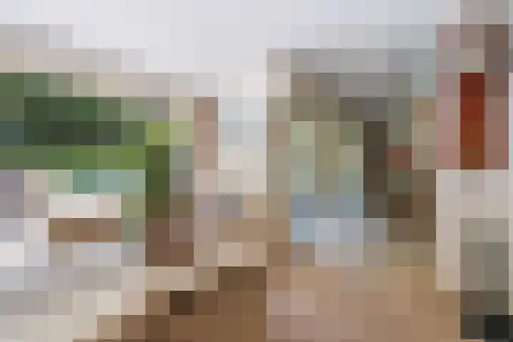 Het Lage Holt 6 Hoogeveen thumbnail 13