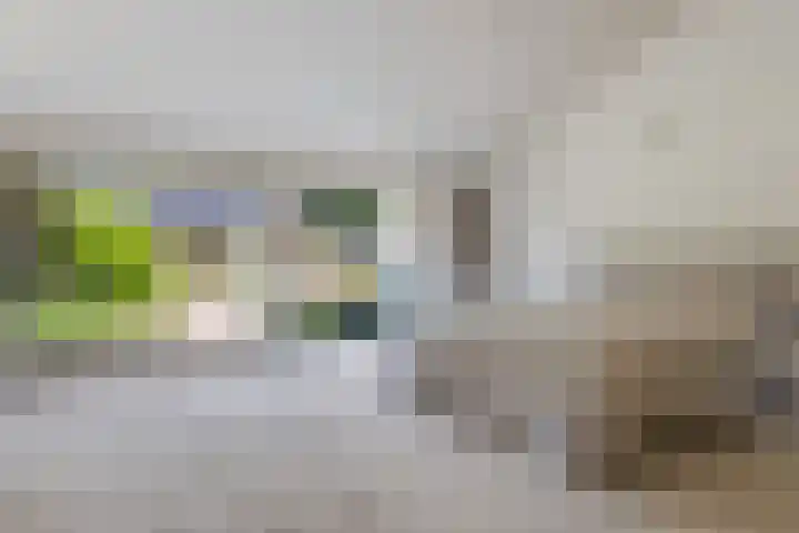 Het Lage Holt 6 Hoogeveen thumbnail 15