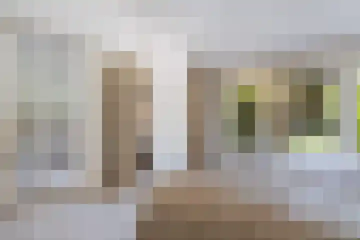 Het Lage Holt 6 Hoogeveen thumbnail 16