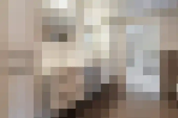 Het Lage Holt 6 Hoogeveen thumbnail 17