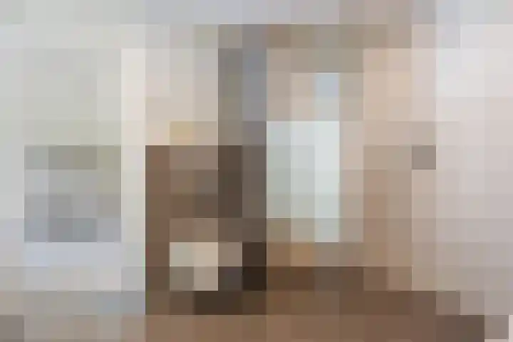 Het Lage Holt 6 Hoogeveen thumbnail 18