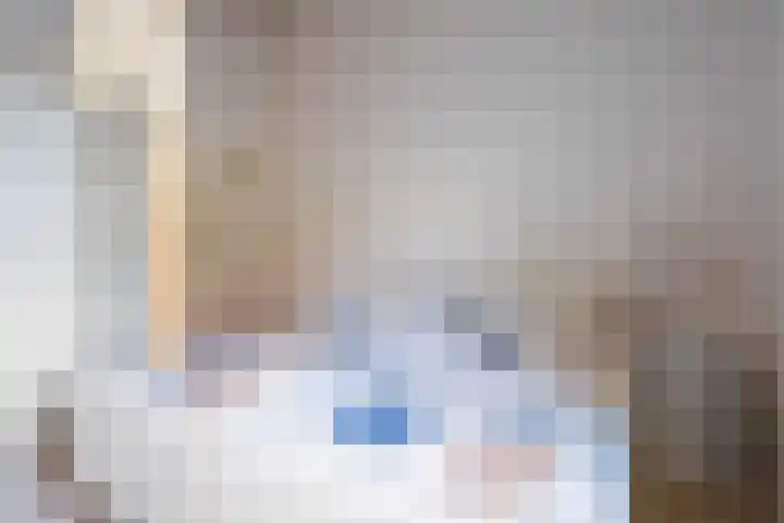 Het Lage Holt 6 Hoogeveen thumbnail 20