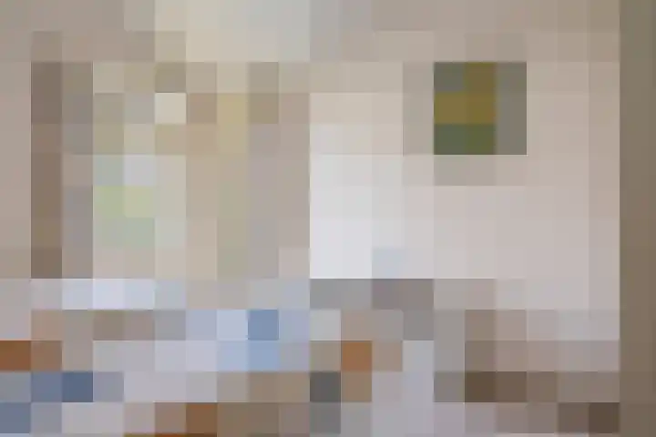Het Lage Holt 6 Hoogeveen thumbnail 21