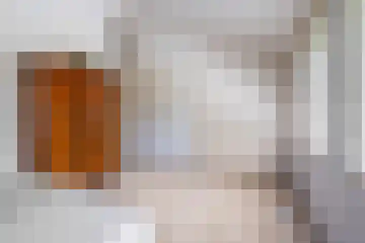 Het Lage Holt 6 Hoogeveen thumbnail 23