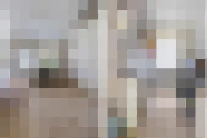Het Lage Holt 6 Hoogeveen thumbnail 24