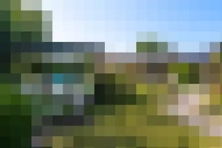 Het Lage Holt 6 Hoogeveen thumbnail 27