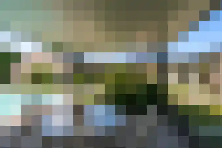 Het Lage Holt 6 Hoogeveen thumbnail 28