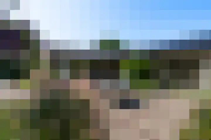 Het Lage Holt 6 Hoogeveen thumbnail 33