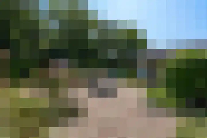 Het Lage Holt 6 Hoogeveen thumbnail 34
