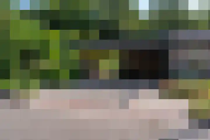 Het Lage Holt 6 Hoogeveen thumbnail 36