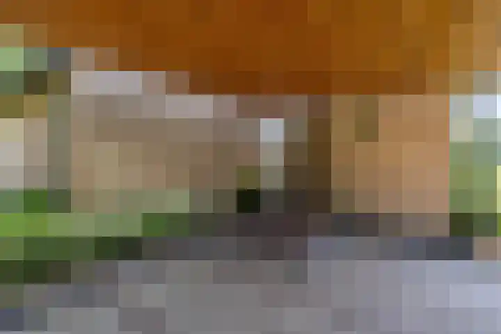 Het Lage Holt 6 Hoogeveen thumbnail 37