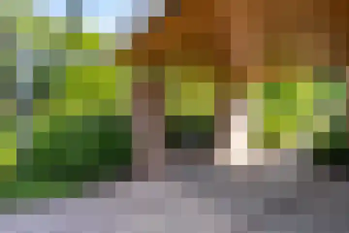Het Lage Holt 6 Hoogeveen thumbnail 38