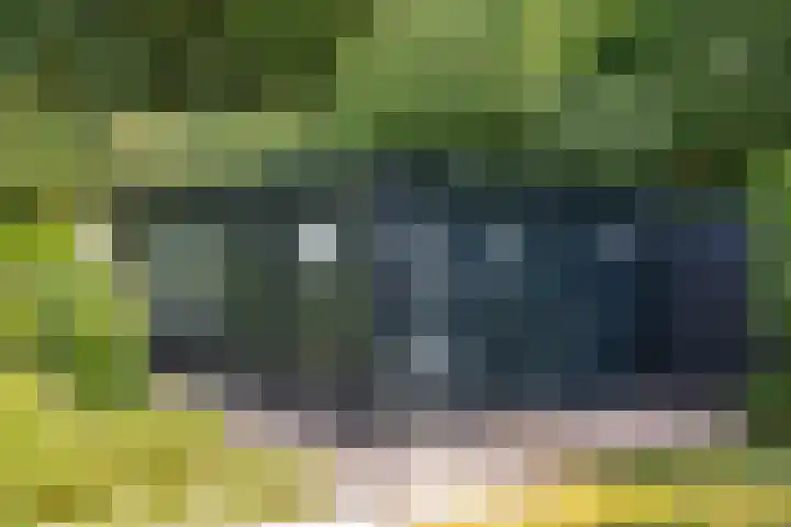 Het Lage Holt 6 Hoogeveen thumbnail 39