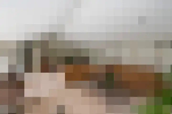 Het Lage Holt 6 Hoogeveen thumbnail 4