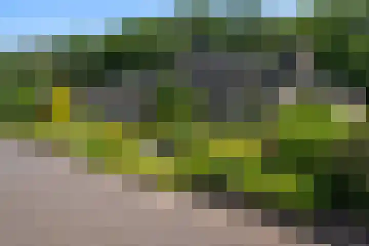 Het Lage Holt 6 Hoogeveen thumbnail 40