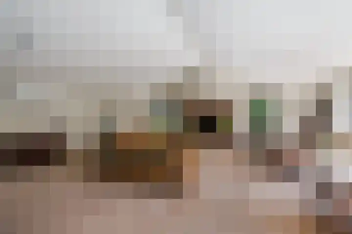Het Lage Holt 6 Hoogeveen thumbnail 5