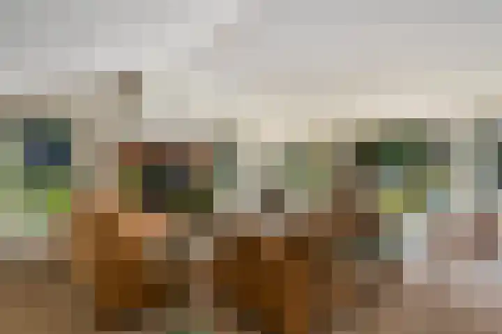 Het Lage Holt 6 Hoogeveen thumbnail 6