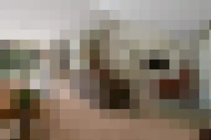 Het Lage Holt 6 Hoogeveen thumbnail 7