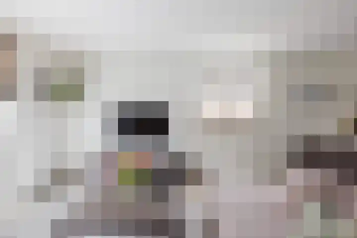 Het Lage Licht 63 Maassluis thumbnail 12