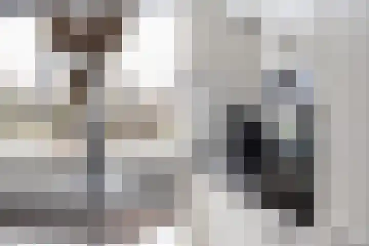 Het Lage Licht 63 Maassluis thumbnail 20