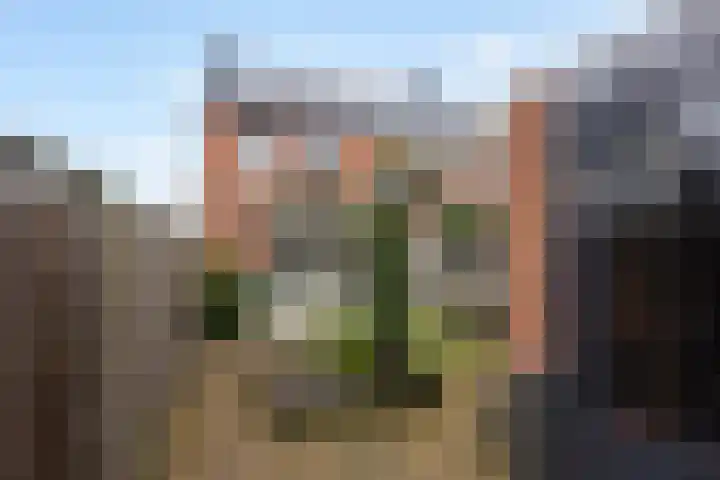 Het Lage Licht 63 Maassluis thumbnail 25