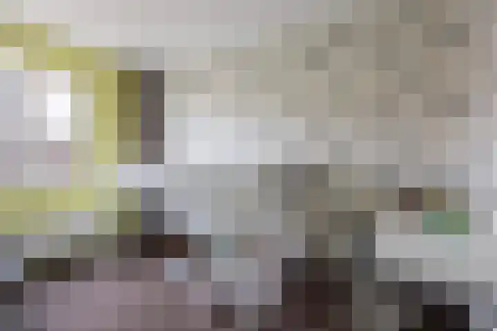 Het Lage Licht 63 Maassluis thumbnail 28