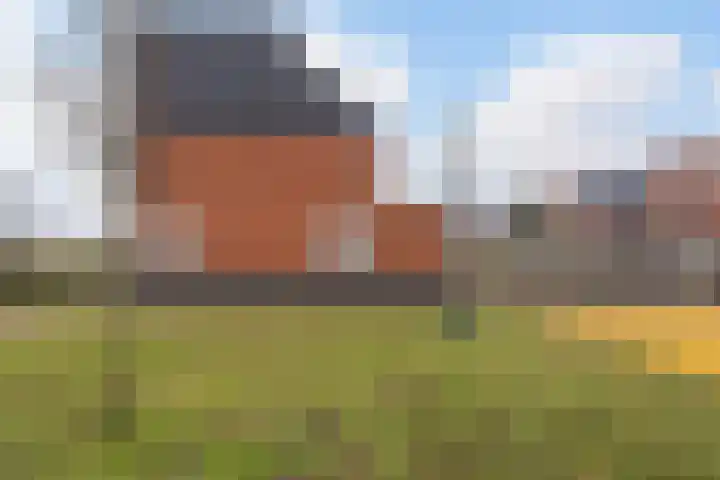 Het Lage Licht 63 Maassluis thumbnail 43