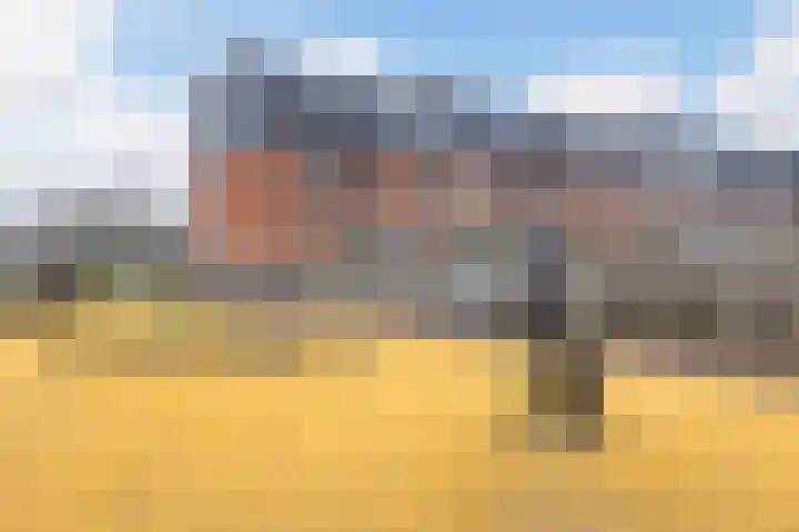 Het Lage Licht 63 Maassluis thumbnail 44