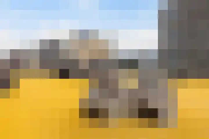Het Lage Licht 63 Maassluis thumbnail 45