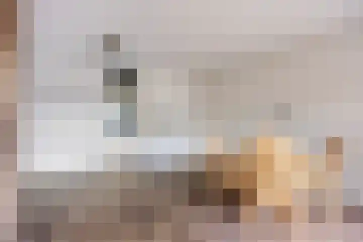 Het Lage Noord 5 Schagen thumbnail 16