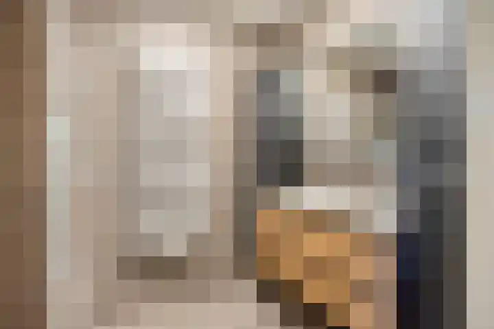 Het Lage Noord 5 Schagen thumbnail 25