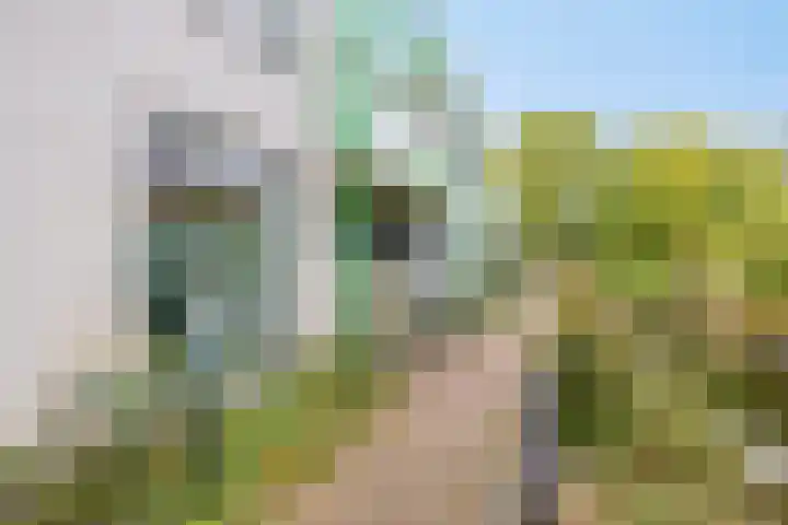 Het Lage Noord 5 Schagen thumbnail 31